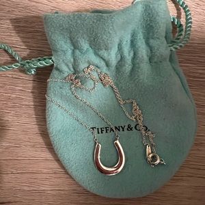 Tiffany & Co 1837 Sterling Silver horseshoe luck charm necklace 18”